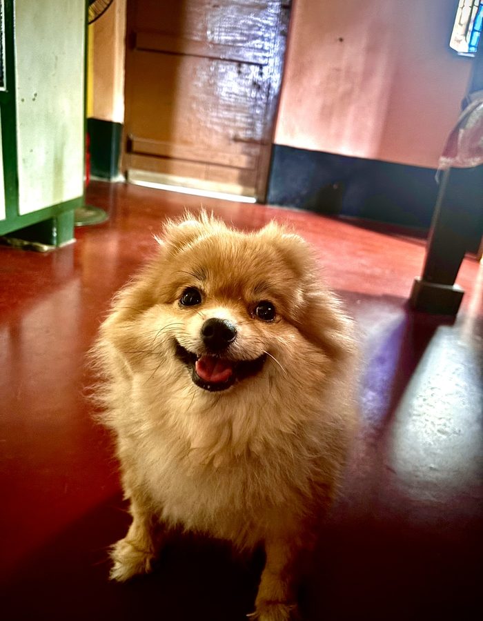 Candy smiling at the camera