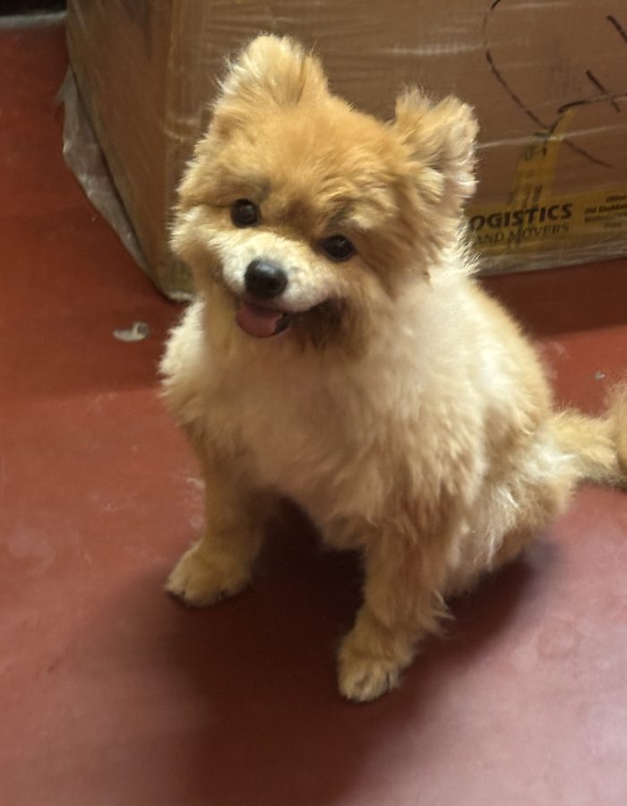 Candy sitting next to a cardboard box